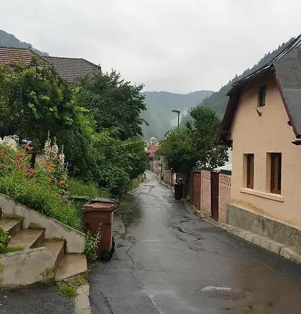 Хостел Altfel *