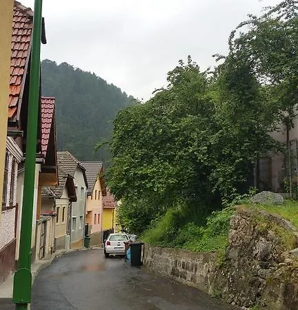 Altfel Брашов