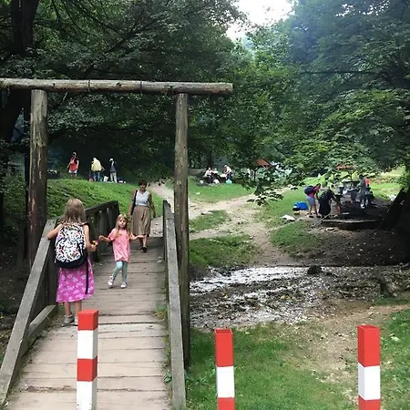 Altfel * Брашов